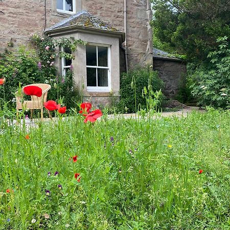 Organic Welltree Bed & Breakfast Saint Martins  Eksteriør bilde