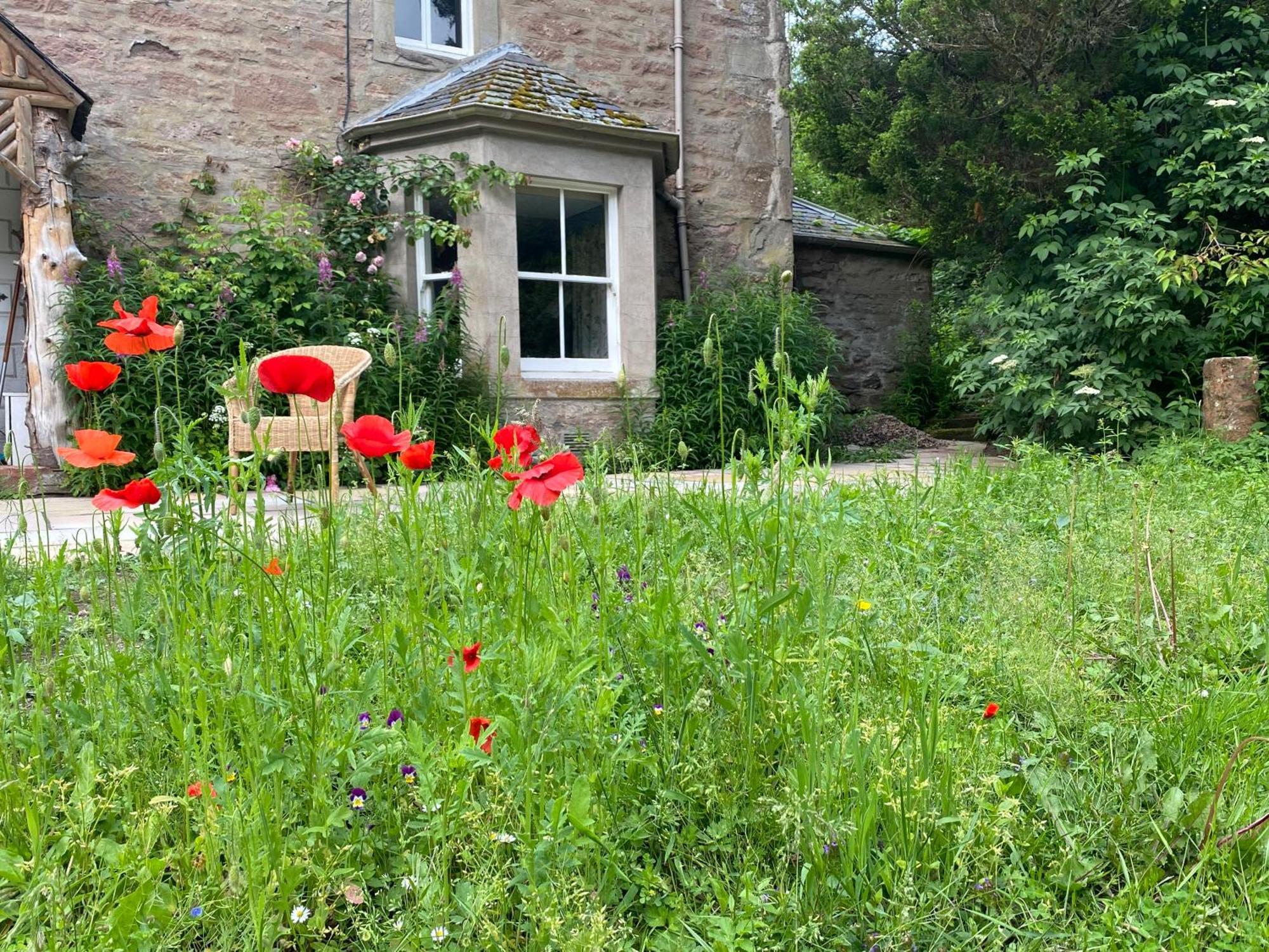 Organic Welltree Bed & Breakfast Saint Martins  Eksteriør bilde